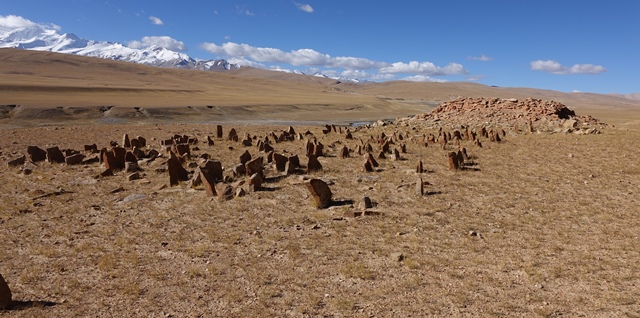 Fig. 41. The array of stelae and appended temple-tomb of the East Complex seen from the northeast. The two broad sides of stelae tend to be oriented north and south.