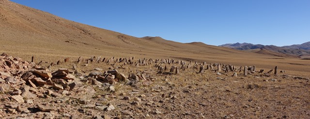 Fig. 47. A view of the array of stelae of the East Complex from a southwestern perspective.