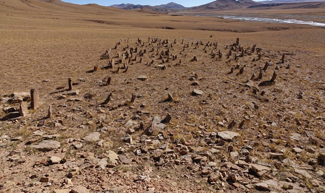 Fig. 48. The concourse of stelae as seen from the top of the appended temple-tomb, East Complex. In the background is the eastern horizon.