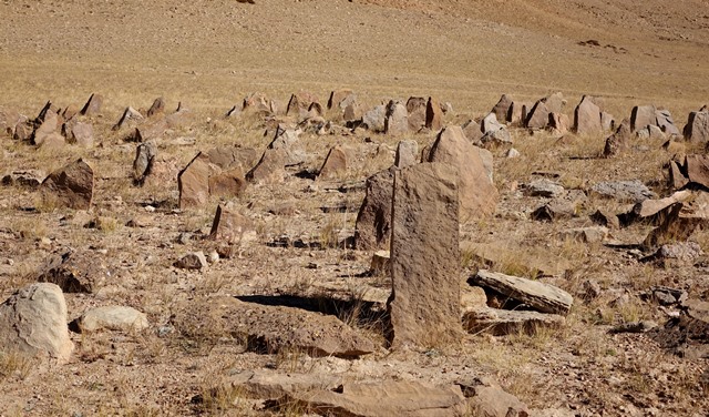 Fig. 49. A close-up of stelae in the array of the East Complex. The broad sides of the tabular stelae face north and south.