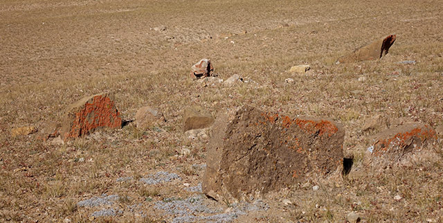 Fig. 50. Stones protruding from the ground marking the site of another funerary structure (FS13) at TBRH.