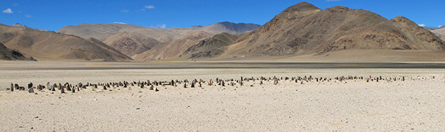 Fig. 6. The array of stelae from the north. Note the winter houses of local pastoralists on the edge of the mountain in the background.