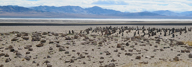 Fig. 7. The array of stelae as seen from over the top of the temple-tomb mound.