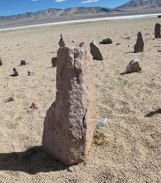 Fig. 9. Close-up of a stele in the central portion of the array of standing stones. Like others stelae in the array this specimen was erected in its natural state without shaping.