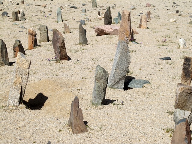 Fig. 10. Some of the multicolored stelae in the array of standing stones.