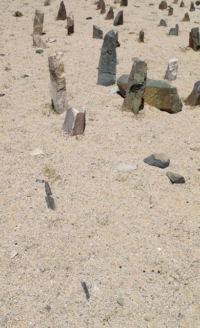 Fig. 11. Three small, dark-colored stones embedded in the ground, scant traces of a slab wall network situated immediately east of the array of stelae, can be seen on the lower left side of the image.