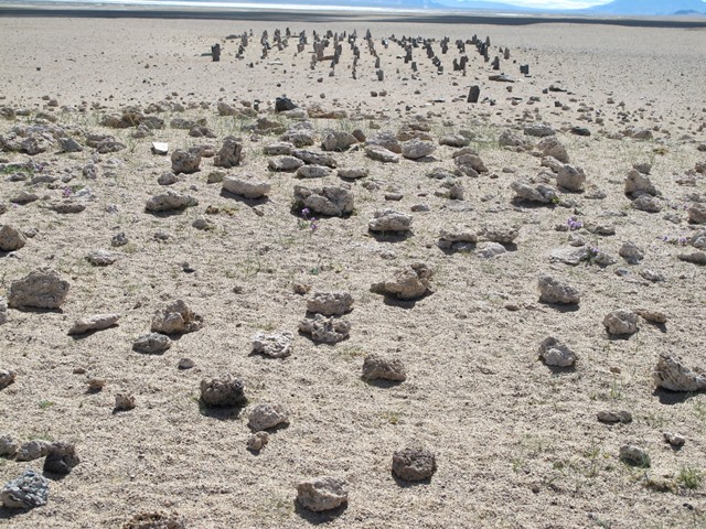 Fig. 12. The neatly ordered array of pillars as seen from the top of the remains of the temple-tomb (foreground).