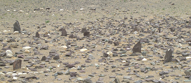 Fig. 24. A close-up of some of the still standing stones in the array.