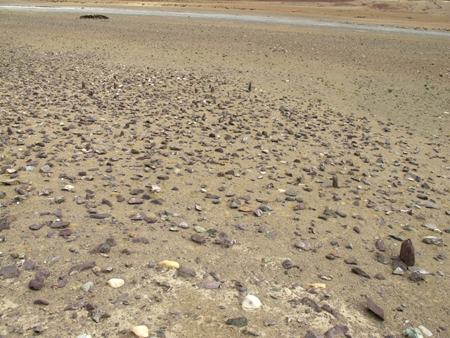 Fig. 25. The array of pillars from the top of the temple-tomb mound. In the background is the river known as Churi Tsangpo.