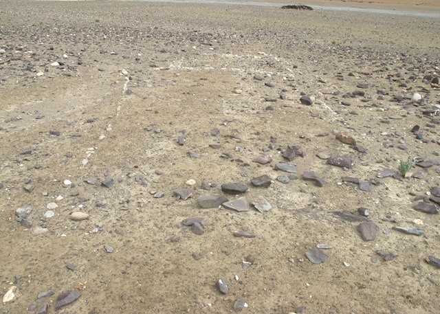 Fig. 41. Two single-course cobble walls (foreground) and double-course cobble wall enclosure (background), as viewed from the northwest. The dark-colored structure in the background is a mani wall.