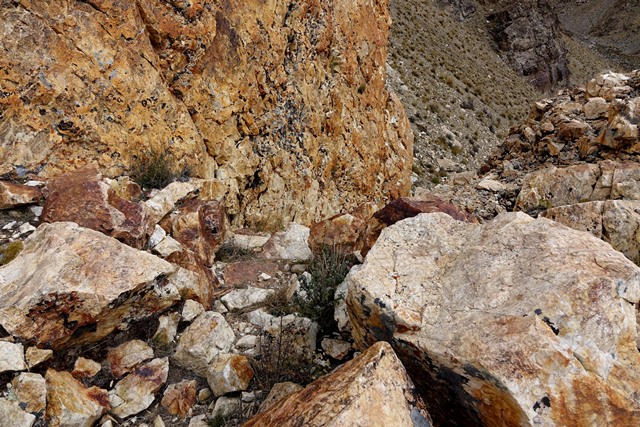 Fig. 21. Old trail passing from the upper slopes to the Dangra lakeside.