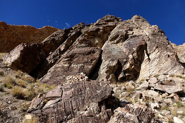 Fig. 49. Grey outcrop with residential ruins at the base. Note the remnants of a wall still clinging to the rock in the foreground. This was part of a forward structure.