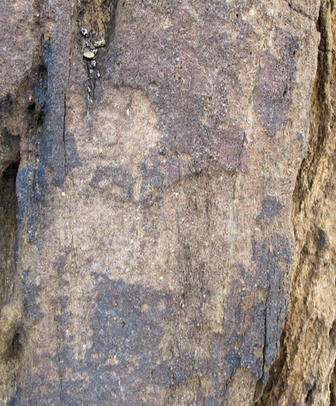 Fig. 9. Lone wild yak with part of head missing Prominent motifs: long tail with large ball-shaped tuft; long, slightly curving horns; S-shaped back; flat belly; four unflexed legs Body: silhouetted Technique: deeply engraved Region: Far Western Tibet Estimated age: Late Bronze Age or Iron Age