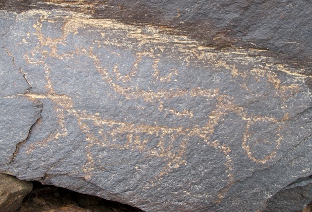 Fig. 43. Lone wild yak with Tibetan A-shaped motif above that may form integral composition Prominent motifs: long tail with large ball-shaped tuft; double curved horns; rectangular snout; S-shaped back; flat belly with long hairy fringe; four long, flexed legs Body: outlined Technique: moderately carved Region: Far Western Tibet Estimated Age: Iron Age or Protohistoric period