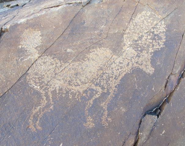 Fig. 47. Lone wild yak Prominent motifs: long tail with ball-shaped tuft; inward curving, joined horns; square snout; anterior hump; rounded belly with hairy fringe; four long, flexed legs Body: silhouetted Technique: lightly engraved Region: Far Western Tibet Estimated Age: Protohistoric period