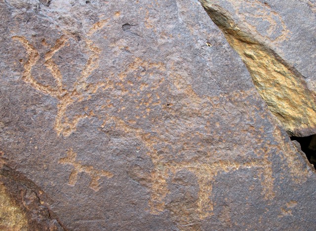 Fig. 48. Lone wild yak with part of tail missing and small quadruped below that may form an integral composition Prominent motifs: wedge-shaped tail; three double curved horns; rounded snout; S-shaped back; flat belly; three unflexed legs Body: partially silhouetted Technique: moderately engraved Region: Far Western Tibet Estimated Age: Iron Age