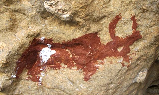 Fig. 66. Lone wild yak Prominent motifs: wedge-shaped tail; inward curving horns; S-shaped back, long neck; triangular snout; arched belly; two thick, unflexed legs Body: silhouetted Technique: painted, red ochre Region: Far Western Tibet Estimated Age: Iron Age or Protohistoric period