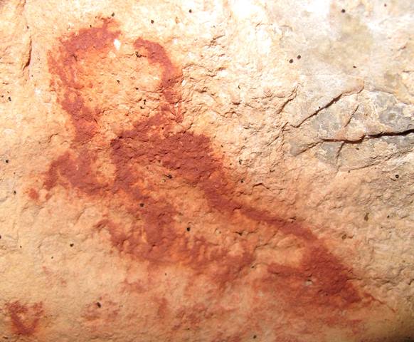 Fig. 73. Lone wild yak Prominent motifs: wedge-shaped tail; long, inward curving horns; anterior hump; triangular snout; flat belly; no legs Body: partially silhouetted Technique: painted, red ochre Region: Central Changthang Estimated Age: Protohistoric period