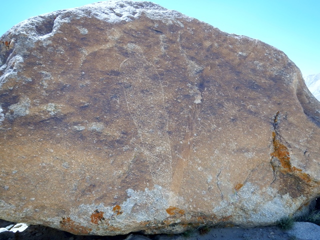 Fig. 7. A unique petroglyph of a life-size human outline. Whilst there are examples from Ladakh of a similar outlined human form (e.g., Baima, along the lower Indus), they are displayed horizontally. In the present case, the figure has been filled using a pecking technique and possesses appendages a little below the left shoulder. The right side of the picture displays the contours of what could be the arms and hands of a second figure, along with a few scattered deer.