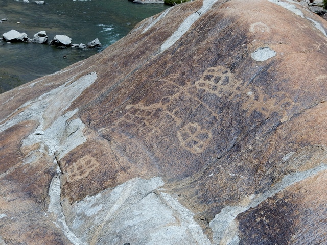 Fig. 10. Weathered boulder with animals and geometric shapes and symbols.