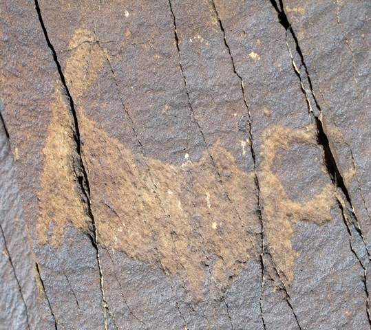 Fig. 97. Lone wild yak Prominent motifs: wedge-shaped tail; inward curving horns with right angle; small anterior hump; triangular snout; flat belly; four unflexed legs Body: silhouetted Technique: deeply engraved Region: Far Western Tibet Estimated Age: Iron Age