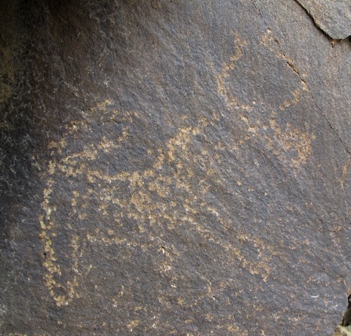 Fig. 99. Lone wild yak Prominent motifs: wedge-shaped tail; double curved horns; anterior hump; rectangular snout, long neck; rounded belly; two thick, unflexed legs Body: partially silhouetted Technique: moderately engraved Region: Far Western Tibet Estimated Age: Iron Age or Protohistoric period