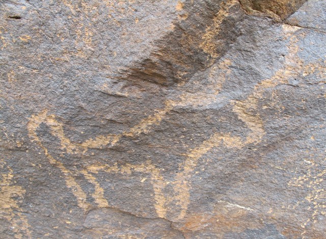 Fig. 103. Lone wild yak Prominent motifs: wedge-shaped tail; long double curved horns, top of head open; anterior hump; triangular snout; flat belly; two unflexed legs open on ends Body: outlined Technique: moderately engraved Region: Far Western Tibet Estimated Age: Iron Age or Protohistoric period