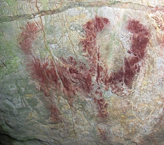 Fig. 106. Lone wild yak Prominent motifs: wedge-shaped tail; thick, inward curving horns; anterior hump; blunt snout; flat belly; two unflexed legs Body: silhouetted Technique: painted, red ochre Region: Eastern Changthang Estimated Age: Protohistoric period