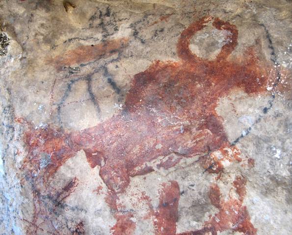 Fig. 107. Lone wild yak Prominent motifs: wedge-shaped tail; inward curving horns; anterior hump; rectangular snout; flat belly; four unflexed legs Body: silhouetted Technique: painted, red ochre Region: Eastern Changthang Estimated Age: Protohistoric period