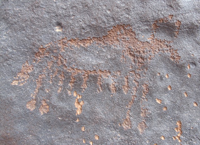 Fig. 115. Lone wild yak Prominent motifs: wedge-shaped tail; inward curving horns; anterior hump; rectangular snout; rounded belly, long hairy fringe; four long, unflexed legs with feet Body: partially silhouetted Technique: moderately engraved Region: Western Changthang Estimated Age: Iron Age