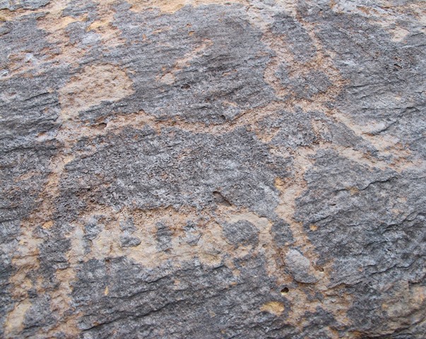 Fig. 123. Wild yak possibly part of larger scene of animals on same panel as fig. 122 Prominent motifs: wedge-shaped tail; double curved horns; anterior hump; triangular snout; flat belly, long hairy fringe; four unflexed legs Body: outlined Technique: moderately engraved Region: Far Western Tibet Estimated Age: Late Bronze Age