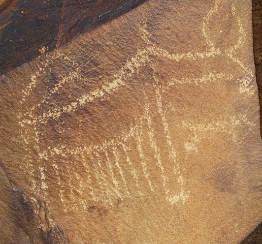 Fig. 129. Lone wild yak Prominent motifs: wedge-shaped tail; inward curving horns with flared ends; small anterior hump; rectangular snout, long neck; rounded belly, long hairy fringe; two long, unflexed legs Body: outlined Technique: lightly engraved Region: Western Changthang Estimated Age: Protohistoric period or Early Historic period