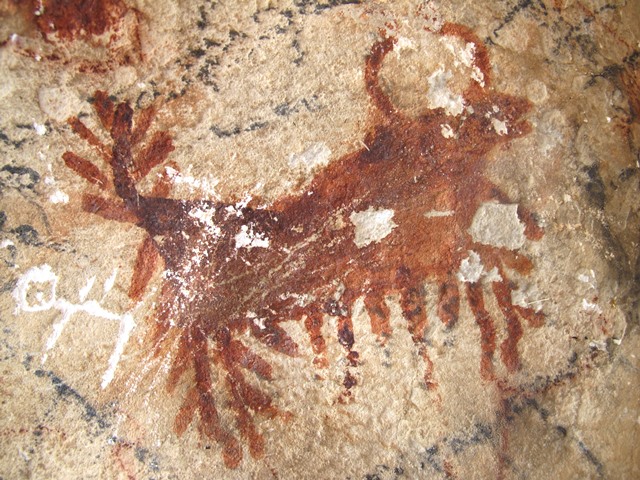 Fig. 136. Lone wild yak Prominent motifs: barbed tail; inward curving horns; anterior hump; square snout possibly with open mouth; flat belly, long hairy fringe; two barbed, flexed legs open on ends Body: silhouetted Technique: painted, red ochre Region: Eastern Changthang Estimated Age: Protohistoric period