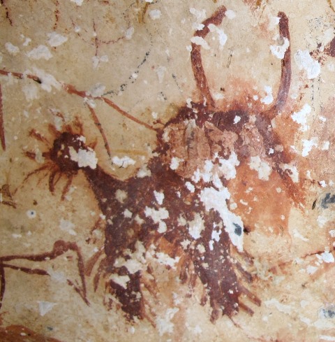 Fig. 138. Lone wild yak, head damaged Prominent motifs: long barbed tail; inward curving horns; anterior hump; snout; arched belly, hairy fringe; two thick, barbed, unflexed legs Body: silhouetted Technique: painted, red ochre Region: Eastern Changthang Estimated Age: Protohistoric period or Early Historic period