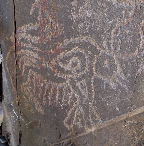 Fig. 147. Wild yak with other animals, anthropomorphs and symbols (not pictured) that appear to form an integral composition Prominent motifs: upward pointing wedge-shaped tail; double curved horns; S-shaped back; triangular snout with gaping mouth and tongue; rounded belly, long belly fringe; four flexed legs Body: outlined, double volute motif Technique: deeply engraved Region: Far Western Tibet Estimated Age: Protohistoric period