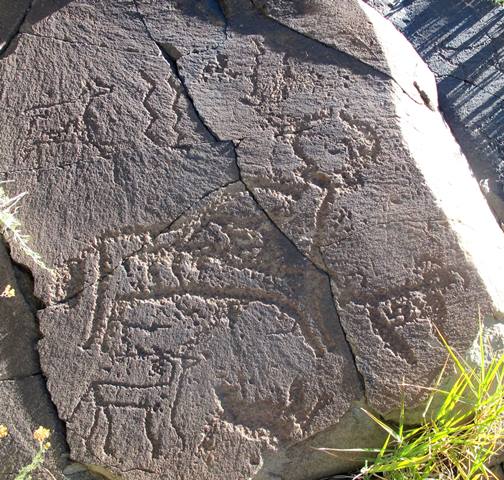 Fig. 150. Lone wild yak with four other wild ungulates, zigzag lines and minor markings, some of which probably form integral composition Prominent motifs: downward pointing wedge-shaped tail; inward curving horns with flared tips; anterior hump; blunt snout; arched belly; two unflexed legs with open ends Body: outlined, linear markings motif Technique: deeply engraved Region: Far Western Tibet Estimated Age: Iron Age